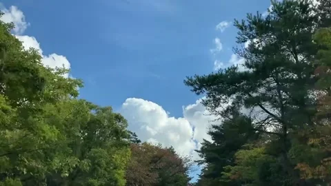 Driving while looking at the clear sky Stock Footage 288341437