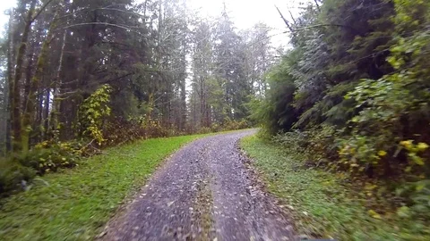 Driving a wilderness forest road Point of View Stock Footage 91711932