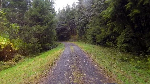 Driving a wilderness forest road Point of View Stock Footage 91711937