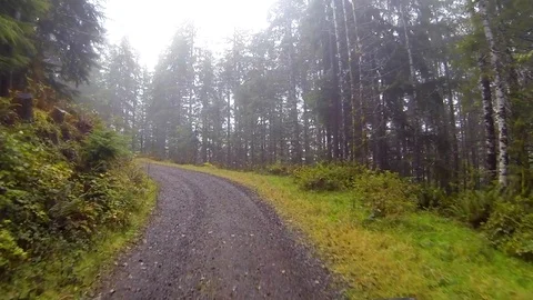 Driving a wilderness forest road Point of View Stock Footage 91711976