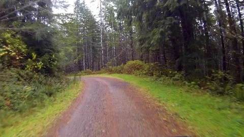 Driving a wilderness forest road Point of View Stock Footage 91711980