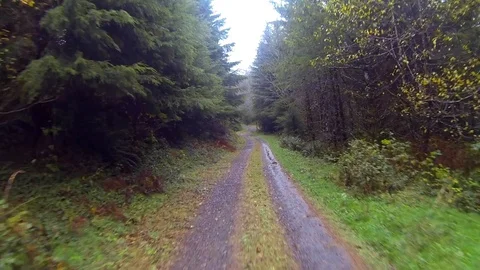 Driving a wilderness forest road Point of View 스톡 동영상 91712092