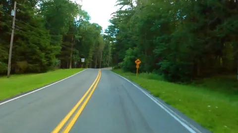 Driving on a winding forest road through lush green trees on a sunny day Stock Footage 342942821