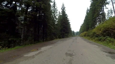 Driving Winding Road in Mountains through Forest Stock Footage 56484430