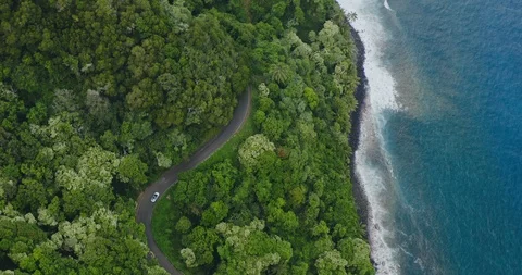 Driving on a windy jungle road next to the sea Stockbeeldmateriaal 119047893