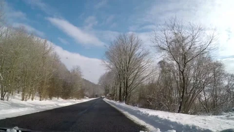 Driving in a winter forest Video stock 148331739