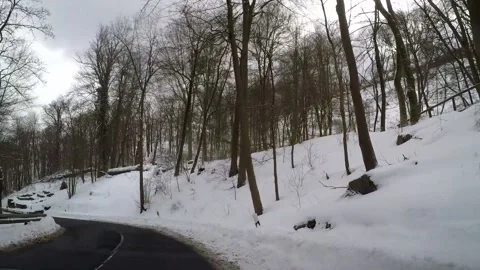 Driving in a winter forest Video stock 148332159