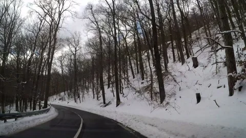 Driving in a winter forest Stock Footage 148332614