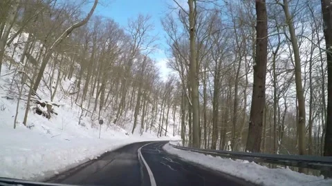Driving in a winter forest Video stock 148336801