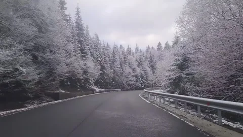Driving on the winter forest road Stock Footage 156024190