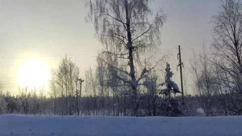 Driving on the winter forest road in heavy snowfall, beautiful landscape Stock Footage 156851631