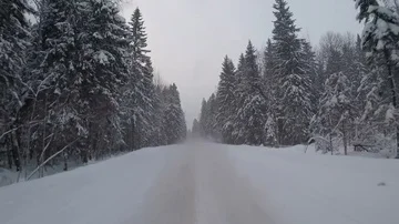 Driving on a winter forest road in a snow storm. car rear view Stock Footage 85580658