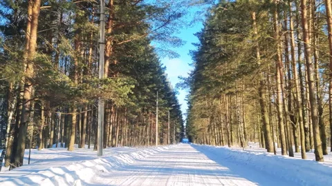 Driving on winter forest road on sunny day. Stock Footage 248456754