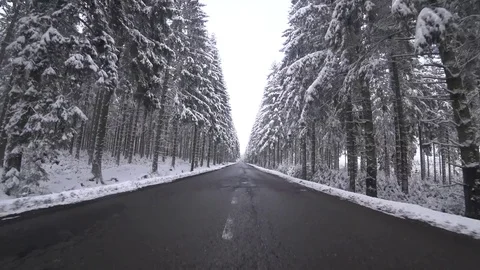 Driving in a winter landscape in a forest Stock Footage 84905537