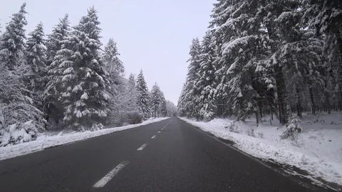Driving in a winter landscape in a forest Stock Footage 85650515