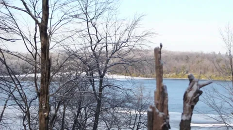 Driving in the woods Stock Footage 34816166