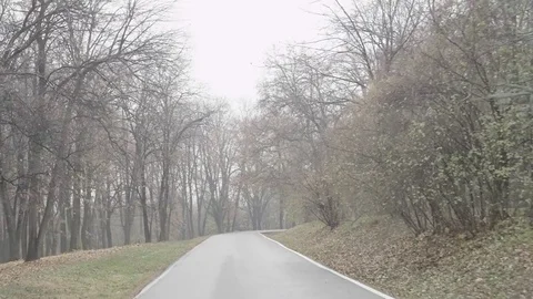 Driving in the woods full hd 2 스톡 동영상 74699233