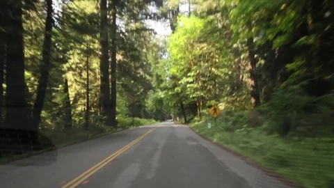 Driving in the woods, windshield, passing car Stock Footage 78548805