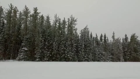 Driving by woods in winter Stock Footage 275293351