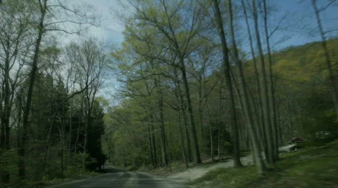 Driving1 Stock Footage 705577