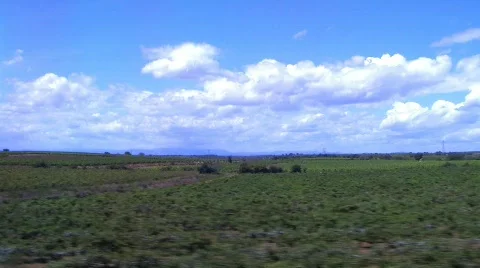 Driving2 Stock Footage 133475