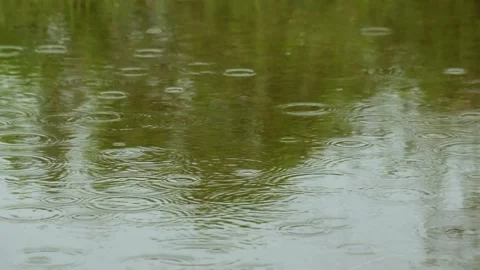 Drizzle in the backyard Stock-Footage 319968473