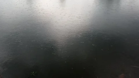 Drizzle on the black lake Stock Footage 221407128