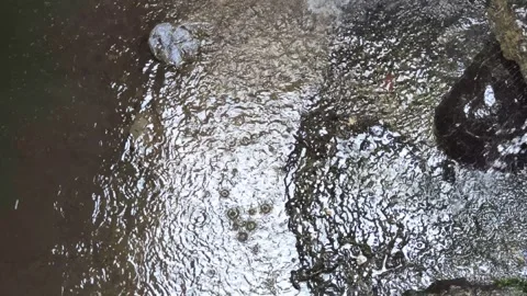 Drizzle drops on rock surfaces Video stock 277231057