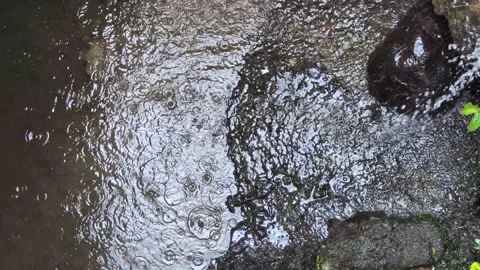 Drizzle drops on rock surfaces Stock Footage 277231060