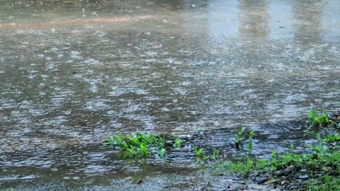 Drizzle falls in puddles Video stock 280899034