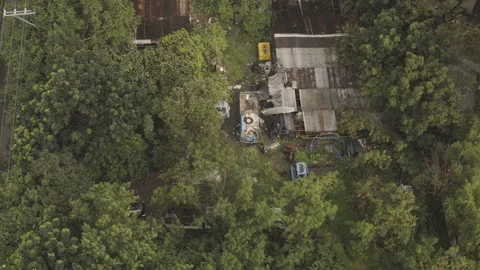 Drizzle overlooking a junk shop in the middle of a forest Stock Footage 249677661