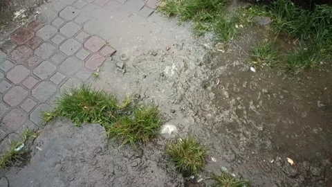 Drizzle pools on the ground Stock Footage 197042833