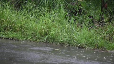 Drizzle of raindrops falling on the asphalt surface Stock Footage 237873720