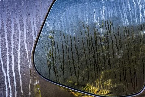 Drizzle on the surface of the car Stock Photos