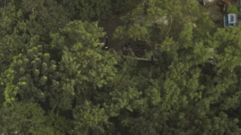 Drizzle on top of trees in slow motion Stock Footage 249676021