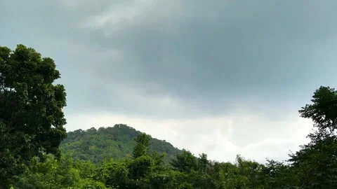Drizzle, Tree On Blue Grey Sky Raincloud Background With Butterfly Fly Stock Footage 273660223