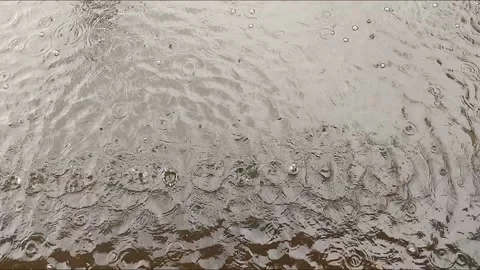 Drizzling Stock Footage 211236690