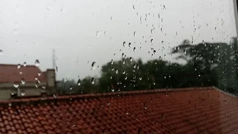 Drizzling Stock Footage 219308016