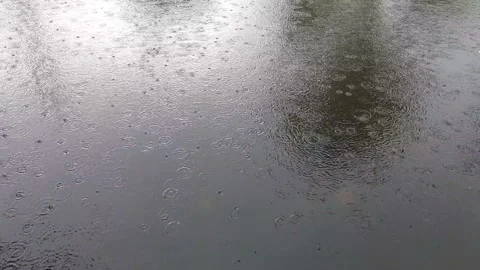 Drizzling Stock Footage 237012179