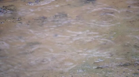 Drizzling rain on mud pool Stock Footage 49270609