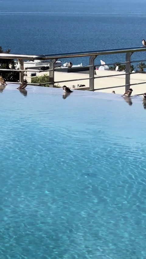 Drizzling Swimming pool with sea view holiday beautiful landscape Video stock 280800341