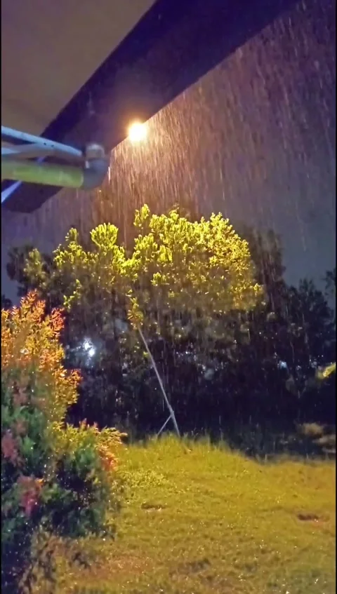 Drizzling under the light of the street lamp Stock Footage 219675059
