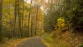 drizzly rain 1 way road jagged rocks autumn 4k or 4k+ Resolution