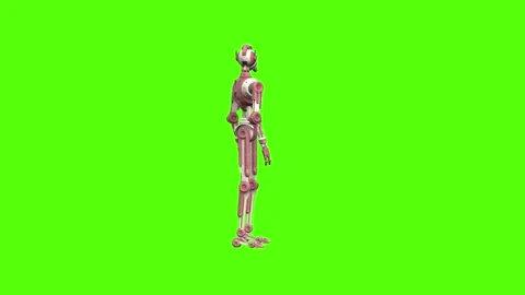 Droid Looking Around Green Screen Animation 4K Rendering Stock Footage 264549702