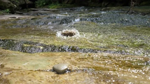 Droll splash of water in a shallow mountain river in the Carpathians in summer Vídeo Stock 162382574