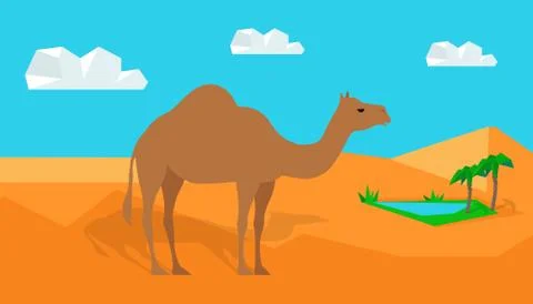 Dromedary Camel in Desert Vector in Flat Design Stock Illustration