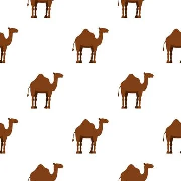 Dromedary camel pattern seamless 스톡 일러스트