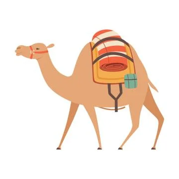 Dromedary, One Humped Camel with Saddle and Load, Side View Vector Illustration Stock Illustration