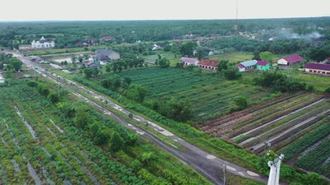 Dron camera Stock-Footage 221841525