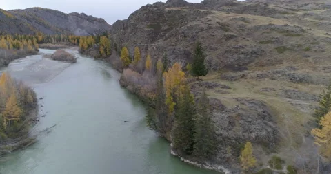 Dron flight over Chuya scenic mountain river flowing in rocky terrain at autumn Stock Footage 143839044
